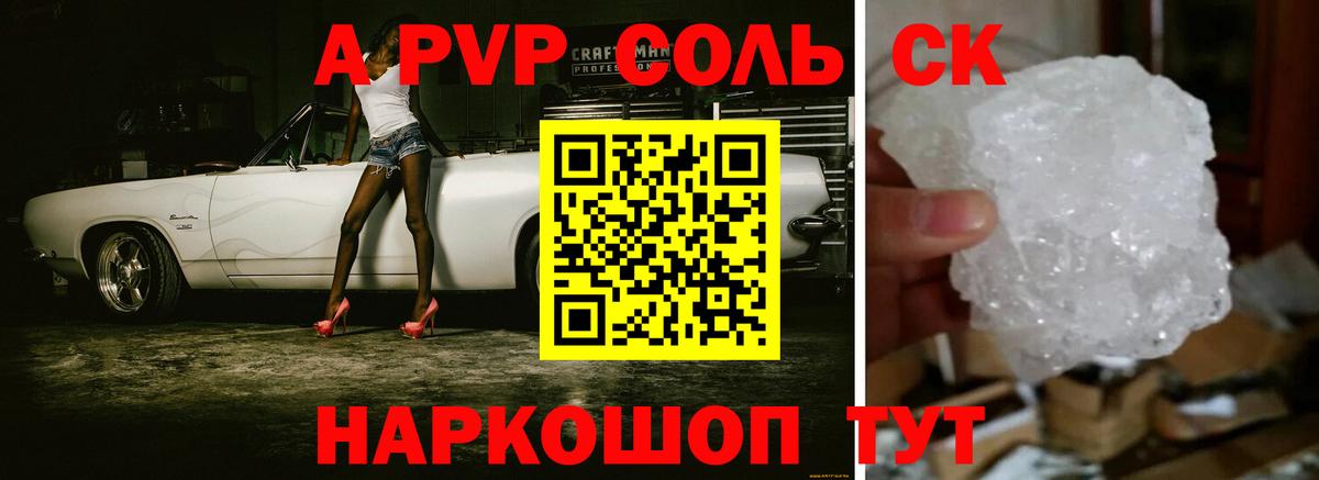 Альфа ПВП СК Великий Новгород