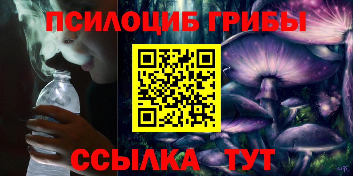 Псилоцибиновые грибы Psilocybine cubensis Великий Новгород