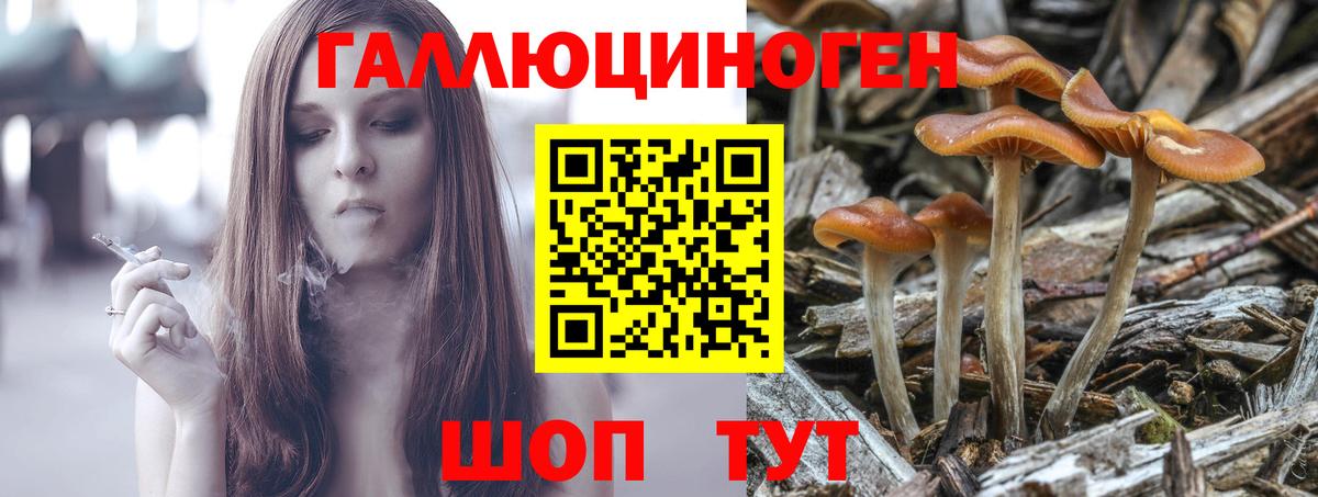 Великий Новгород  Псилоцибиновые грибы GOLDEN TEACHER  дарнет шоп  Вход с VPN 