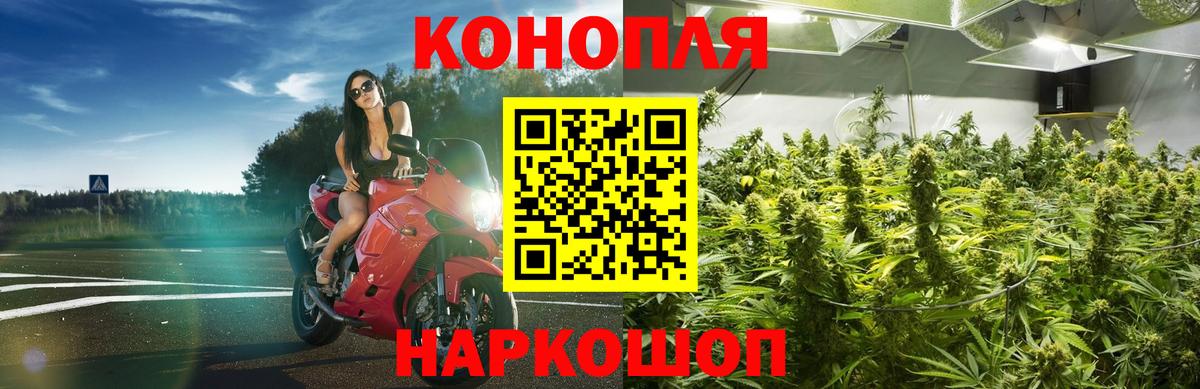 Конопля марихуана Великий Новгород